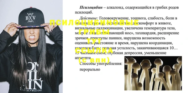винт Алексеевка