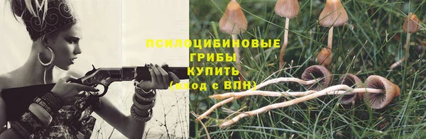 spice Аркадак
