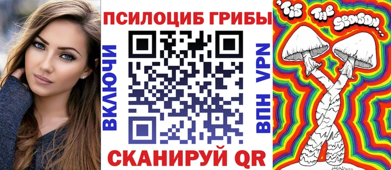 где купить   hydra ТОР  Псилоцибиновые грибы Cubensis  Куйбышев 